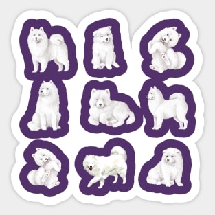 Samoyed Pattern Sticker